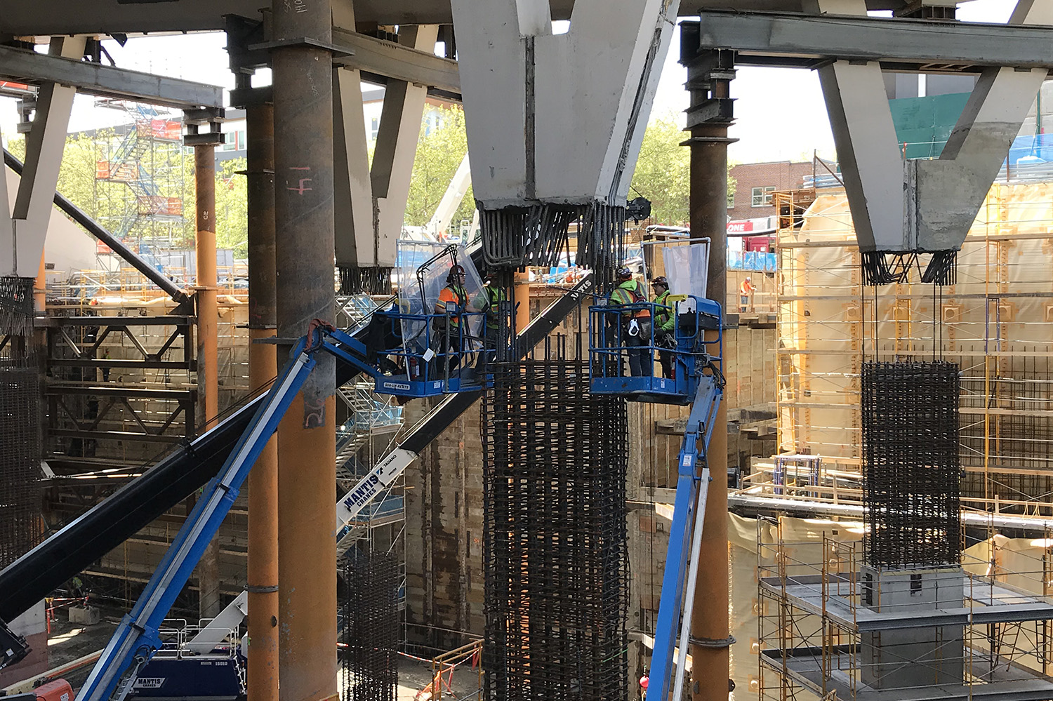 7_Image 5_Y Columns.JPG