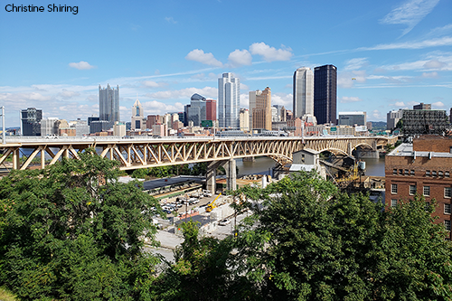 Liberty Bridge trusses